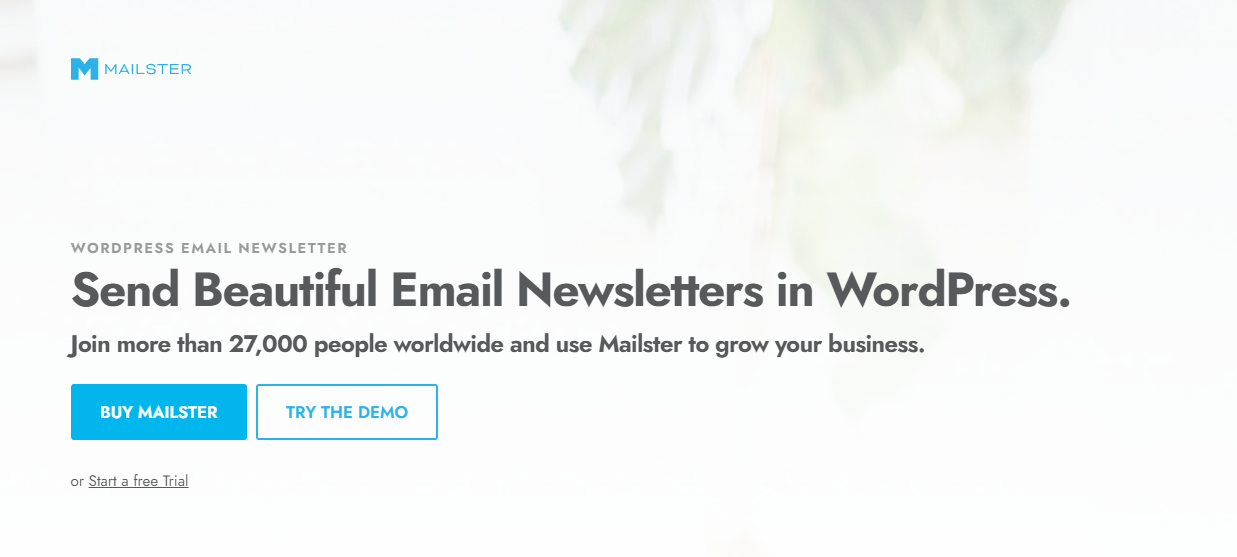Mailster homepage