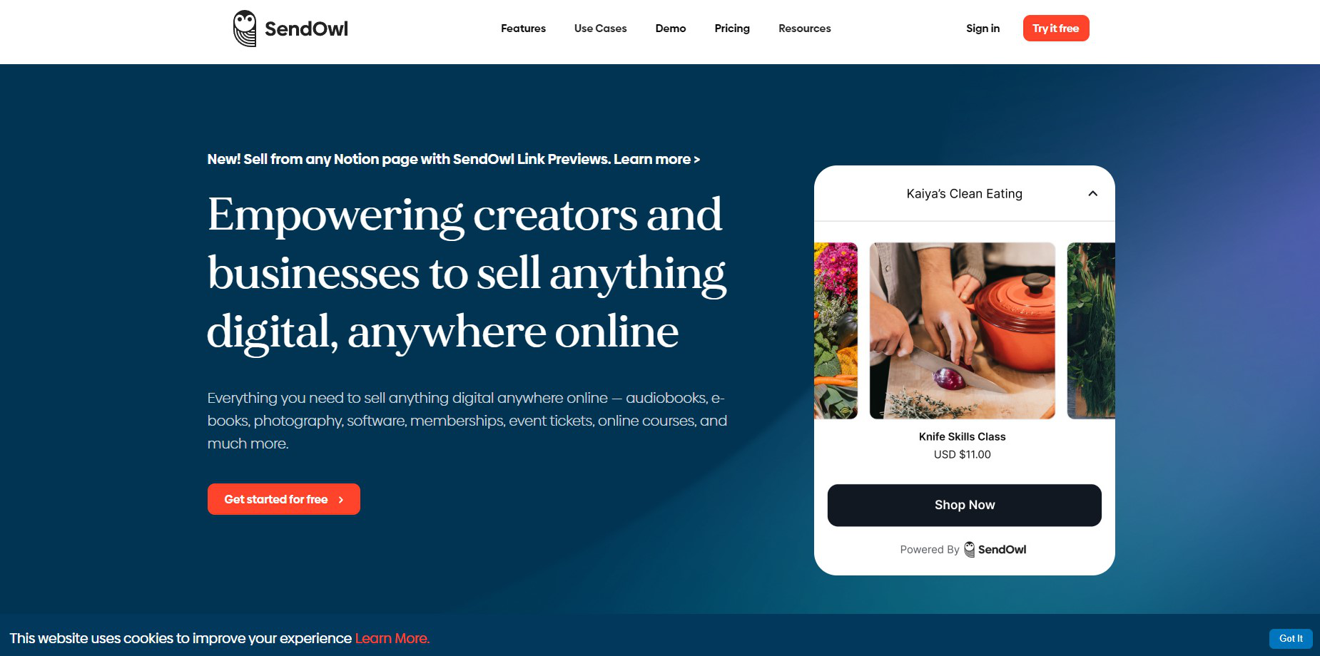 SendOwl is a jack of all trades platform with all the capabilities you need to sell, deliver, and market your digital products. 